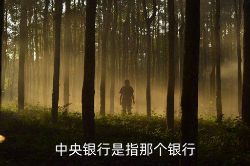 央行是指什么行，中央銀行是指那個(gè)銀行