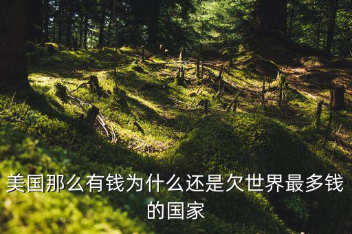 為什么美國(guó)欠中國(guó)錢(qián)，世界第一經(jīng)濟(jì)體美國(guó) 為什么還要向中國(guó)借錢(qián)