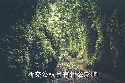 公積金斷了有什么影響，停繳公積金有什么影響