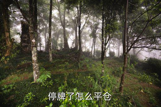 股票黑名單什么意思，股票配售黑名單是什么意思