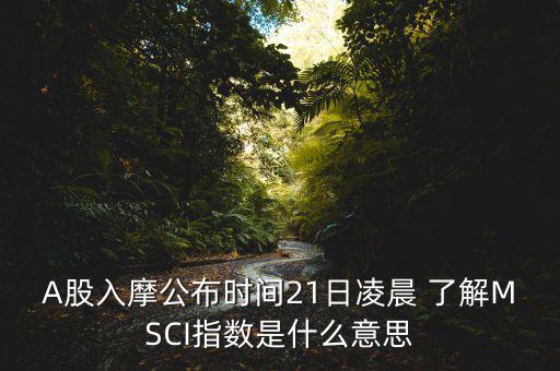 A股入摩公布時間21日凌晨 了解MSCI指數是什么意思