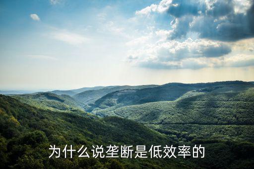 壟斷的無效率是什么，為什么說壟斷會(huì)導(dǎo)致低效率