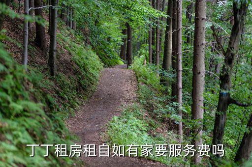 丁丁租房都收取什么費(fèi)用，丁丁租琴的費(fèi)用怎么算