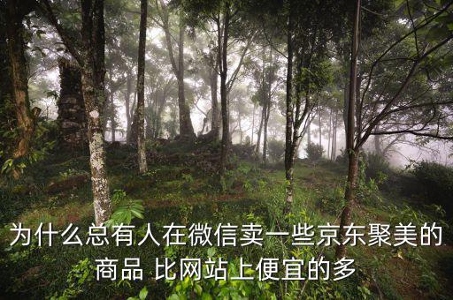 為什么聚美的價格便宜，聚美優(yōu)品怎么這么便宜