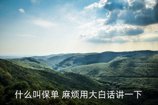 什么是保單，什么是保單
