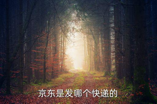 京東自營是發(fā)什么快遞，京東的自營產(chǎn)品一般發(fā)什么物流先謝謝大家了