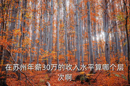 年薪三十萬(wàn)元處于什么階層，在蘇州年薪30萬(wàn)的收入水平算哪個(gè)層次啊