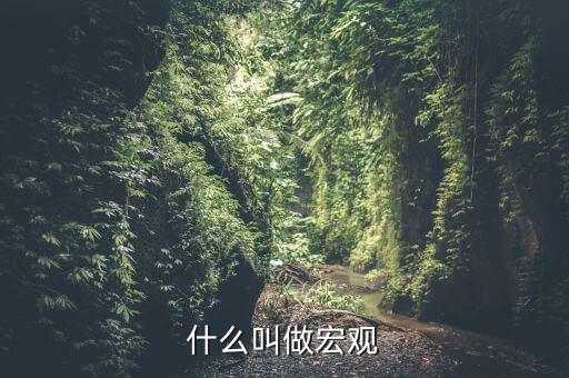 宏觀(guān)是指什么方面，什么叫做宏觀(guān)