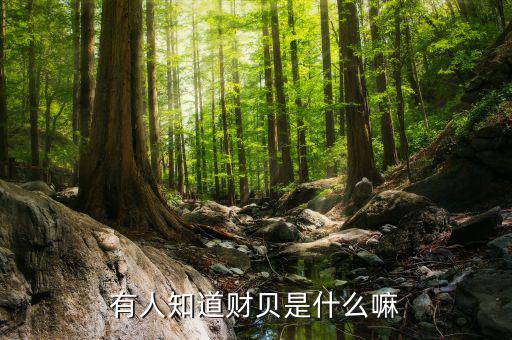 財嘉寶是什么，有誰用過財嘉寶這種平臺可信嗎