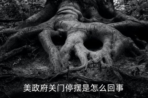 為什么美國(guó)政府關(guān)門(mén)，美國(guó)國(guó)會(huì)為什么關(guān)門(mén)