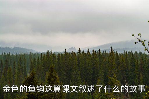金這篇課文是一篇什么文，金子這篇課文使我們懂得了什么道理