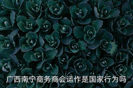 南寧什么時(shí)候打擊傳銷，廣西南寧有傳銷嗎