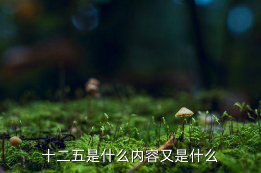 十二五干什么，十二五是什么內(nèi)容又是什么