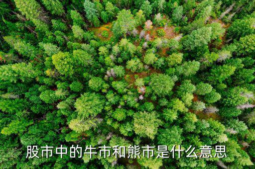 熊市的意思是什么，股市中的牛市和熊市是什么意思