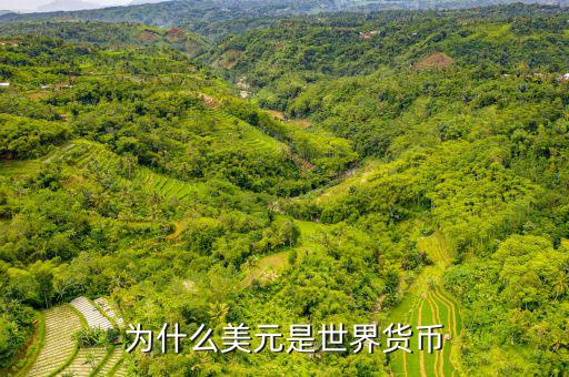 美元為什么是世界貨幣，為什么美元是世界貨幣