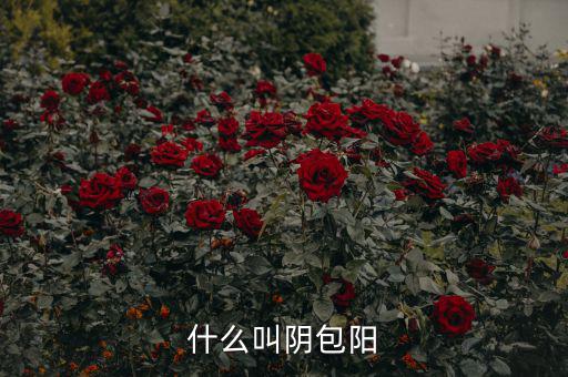 什么叫陽(yáng)包陰，K線(xiàn)里收陽(yáng)包陰或陰包陽(yáng)指的是實(shí)體還是影線(xiàn)也算上