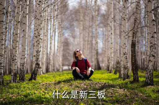 股票發(fā)行新三版是什么版塊，什么是新三板
