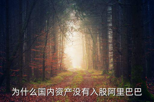 當(dāng)初為什么沒投阿里巴巴，為什么國內(nèi)資產(chǎn)沒有入股阿里巴巴