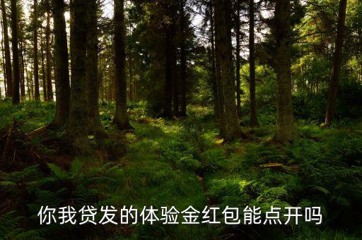 你我貸的體驗金是什么意思，你我貸體驗金怎么用