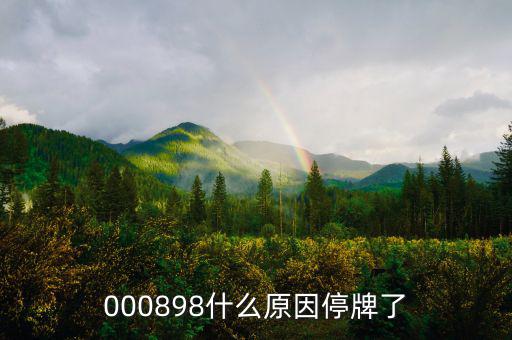 華資實(shí)業(yè)為什么停牌，000009今天為何停牌