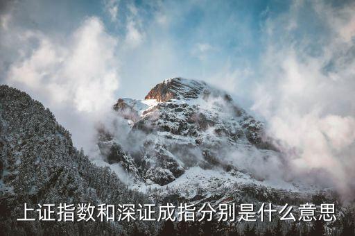 深成指b是什么，深證成指 中的成份A指和成份B指的區(qū)別求高手回答