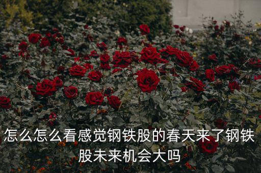 包鋼集團是什么性質(zhì)，中國包頭大企業(yè)都有哪些什么性質(zhì)