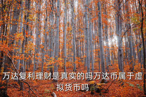 萬達(dá)貨幣是什么，萬達(dá)復(fù)利理財(cái)是真實(shí)的嗎萬達(dá)幣屬于虛擬貨幣嗎