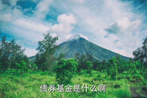 什么叫信用債券基金，信用債是什么樣的基金在什么市場情況下收益率最大
