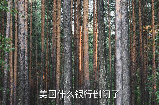 什么銀行倒閉了，美國什么銀行倒閉了