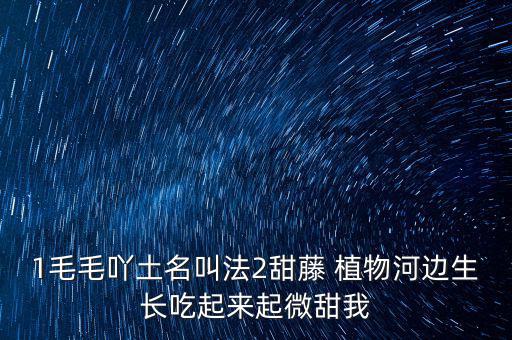 安徽有個(gè)什么林紙業(yè)，坐幾路公交車去安徽華泰林漿紙有限公司