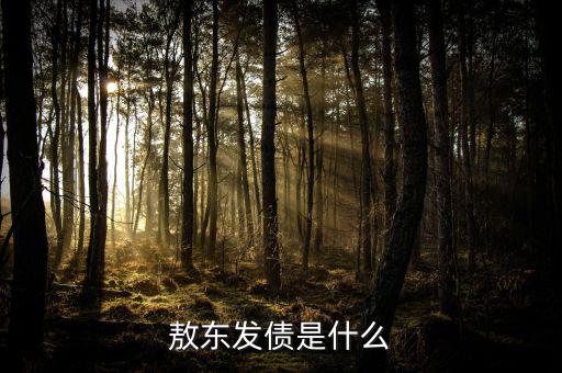 東方發(fā)債是什么，東方配債是甚么意思