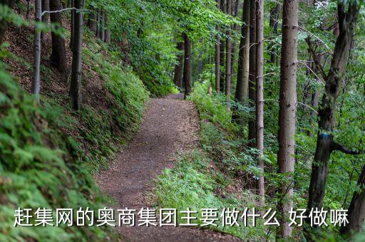 奧骨集團是做什么的，趕集網(wǎng)的奧商集團主要做什么 好做嘛