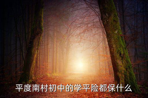 學(xué)平險保些什么，中國人壽60元的學(xué)平險保什么