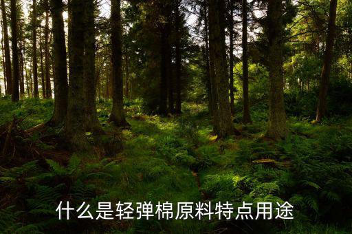 清彈棉是什么意思，彈棉花是什么意思