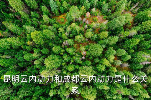 云南云內(nèi)動(dòng)力是什么性質(zhì)，什么是云內(nèi)發(fā)動(dòng)機(jī)