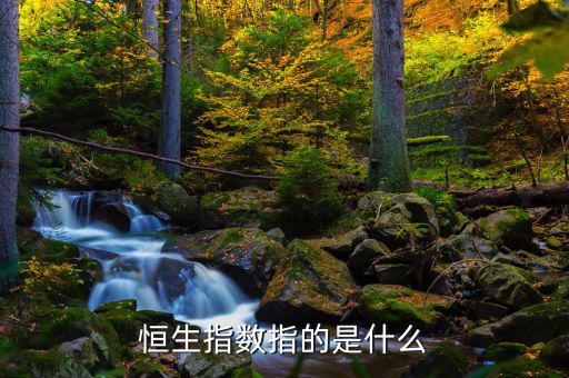 恒生指數(shù)是由香港什么編制的，恒生指數(shù)指的是什么