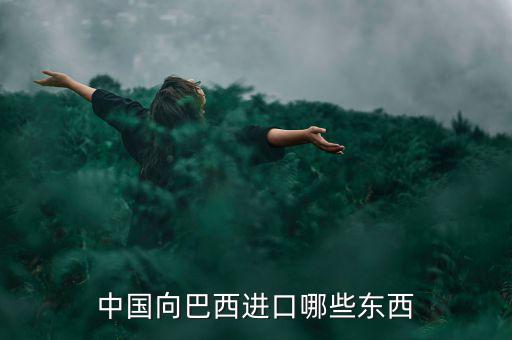 美國(guó)從巴西進(jìn)口什么，中國(guó)向巴西進(jìn)口哪些東西