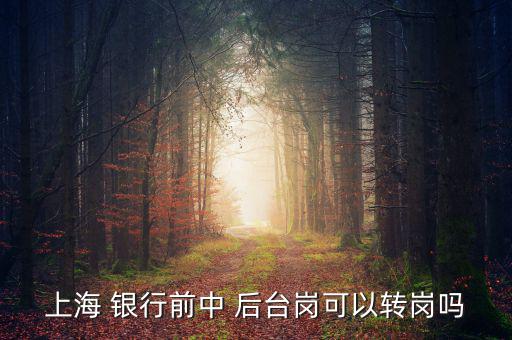 銀行前臺怎么轉(zhuǎn)后臺,銀行分為中央銀行和政策銀行、商業(yè)銀行等