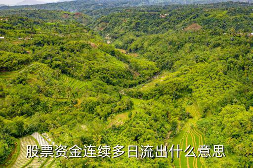 為什么一支股票連續(xù)幾月大單流出，股票資金連續(xù)多日流出什么意思
