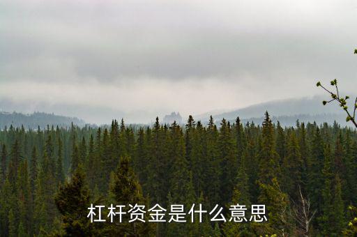 資金杠桿是什么意思，投資里面的杠桿是什么意思