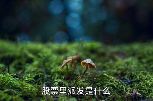 什么是股票派發(fā)，股票什么叫派發(fā)