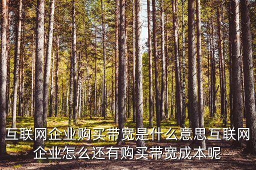 帶寬采購是什么意思，請問帶寬出口批發(fā)是什么出口的定義是 麻煩幫幫忙