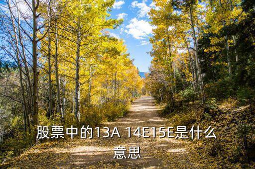 市盈率13a什么意思，財務(wù)報表中13A 14E 是什么意思