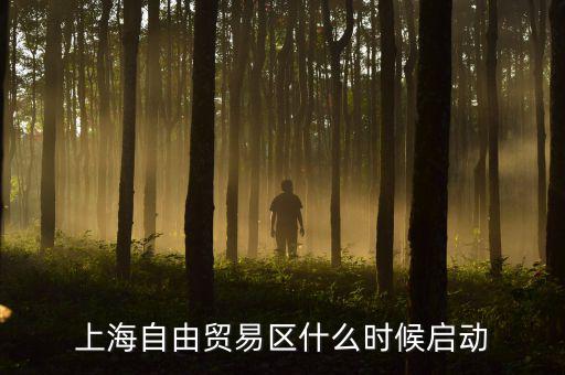 上海自貿(mào)區(qū)什么時(shí)候開(kāi)放，上海自由貿(mào)易區(qū)什么時(shí)候啟動(dòng)