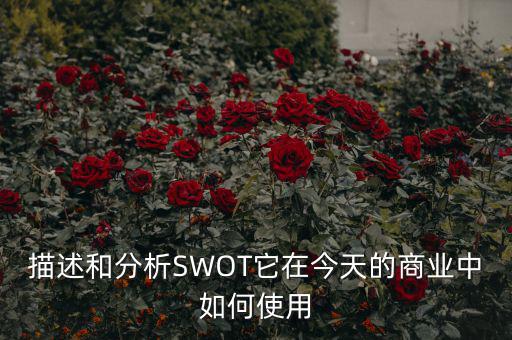 st戰(zhàn)略是什么意思，ST戰(zhàn)略是什么意思