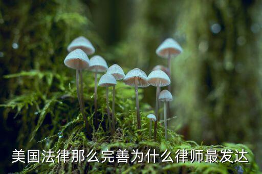 為什么美國(guó)賠償那么高，美國(guó)人為什么那么高