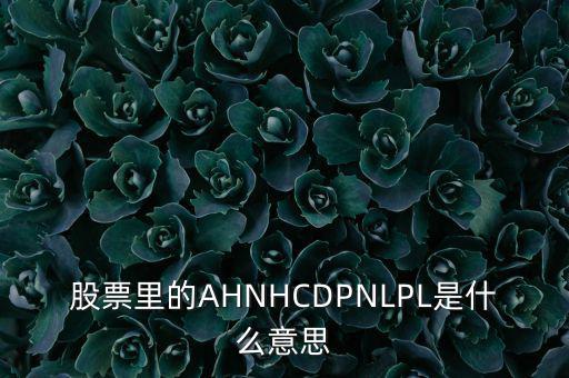股票nl是什么意思，股票里的AHNHCDPNLPL是什么意思