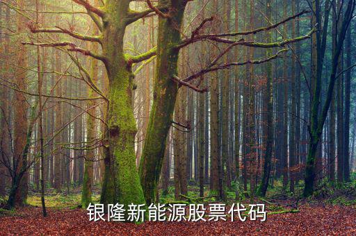 銀龍股份什么時(shí)候上市，銀隆新能源股票代碼