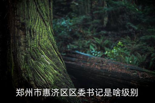 王洪章是什么級別，武警江西省總隊司令是什么級別