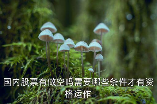 什么股票才可以做空，同花順里面有沒有可以做空的股票